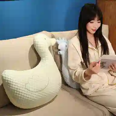 50cm