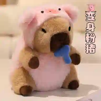 20cm