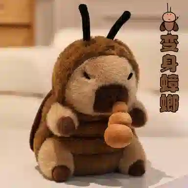 20cm
