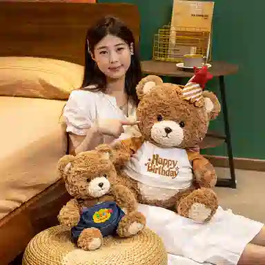 25cm35cm