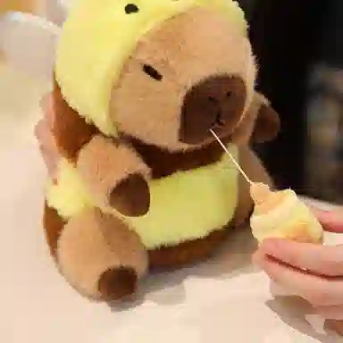20cm