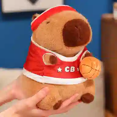 22cm
