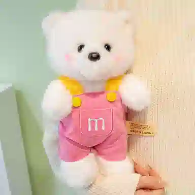 25cm