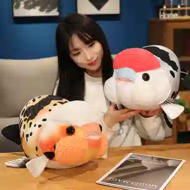 50cm
