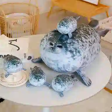 20cm30cm40cm50cm60cm