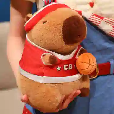 22cm