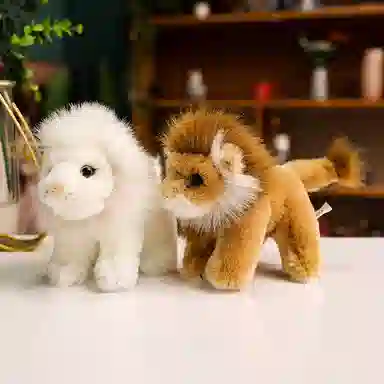 20cm25cm35cm