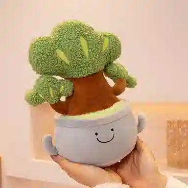 25cm