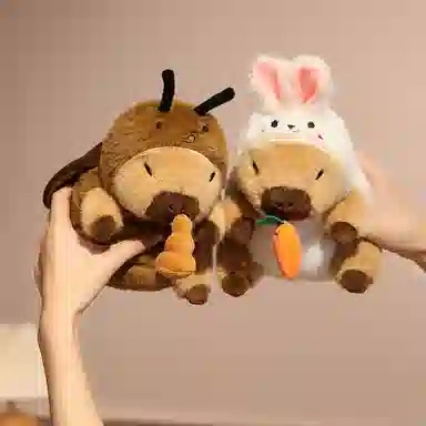 20cm