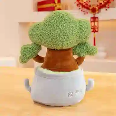 25cm