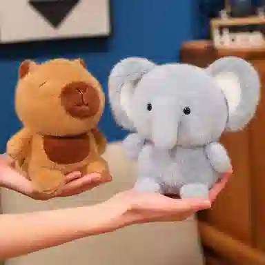 15cm