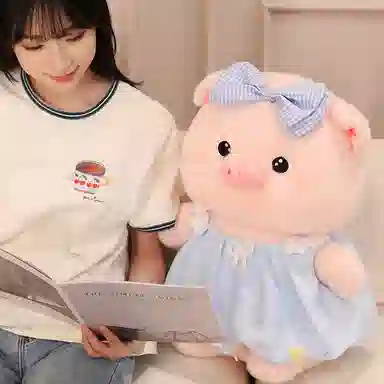24cm30cm40cm50cm
