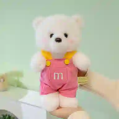 25cm