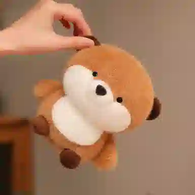 15cm