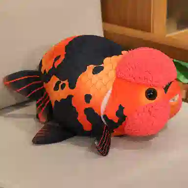 50cm