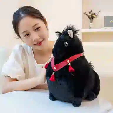 23cm33cm
