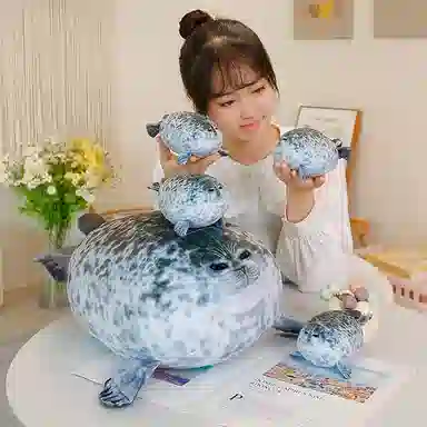 20cm30cm40cm50cm60cm