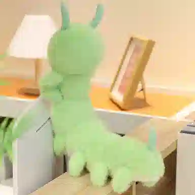 30cm40cm