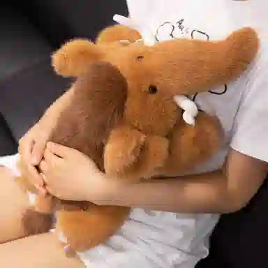 35cm50cm80cm