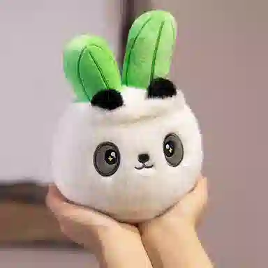 20cm