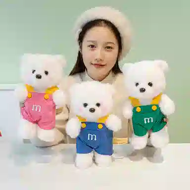 25cm