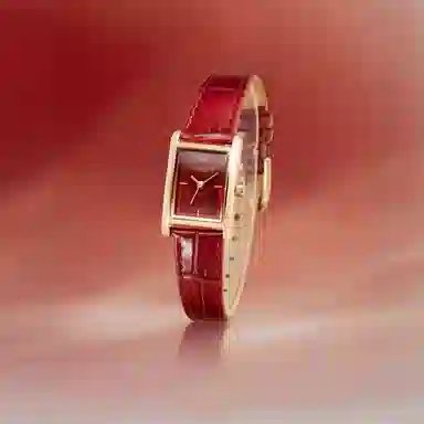 OLIVIABURTON MiNi