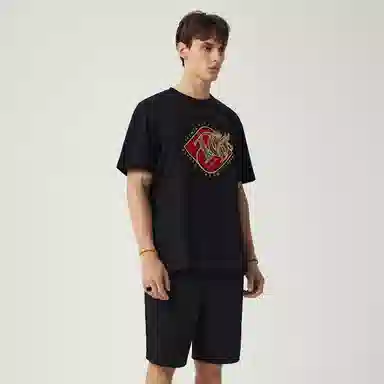 DEGAIA T