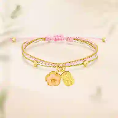 COLIMIDA