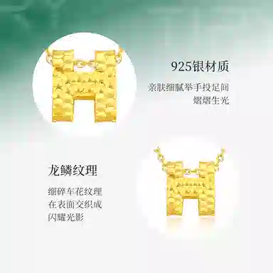 HH S925