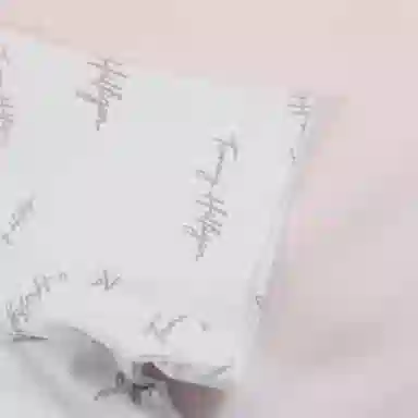 Tommy Hilfiger T
