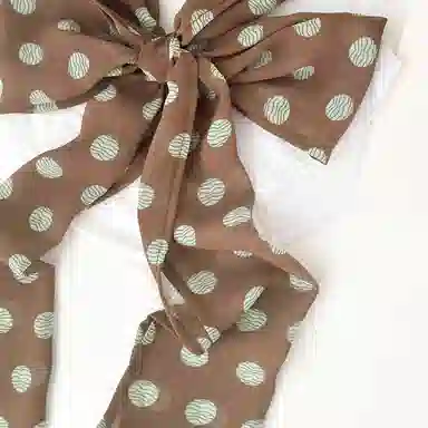 杨同学 棕色波点印花佩饰 涤纶 丝巾 女款