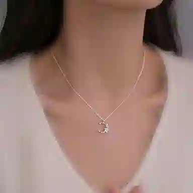 ins S925