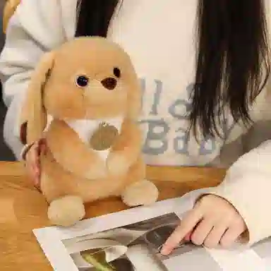23cm
