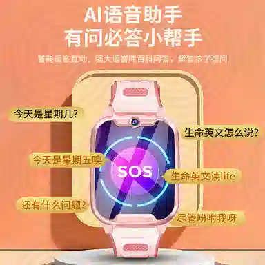 PALMHANG -