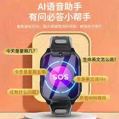 PALMHANG -