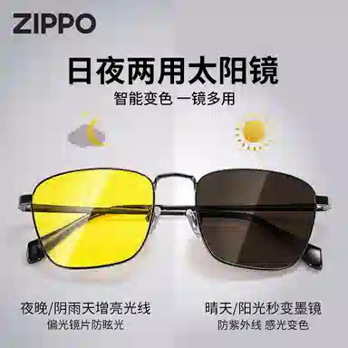ZIPPO Sunglasses