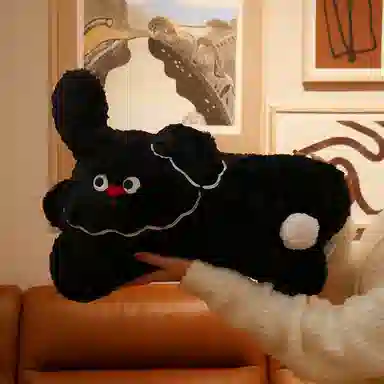 50cm
