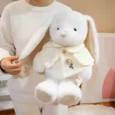 38cm50cm