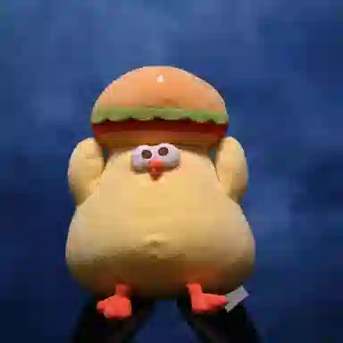 27cm30cm