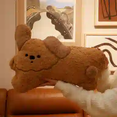 50cm