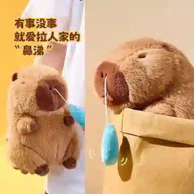 22cm33cm45cm