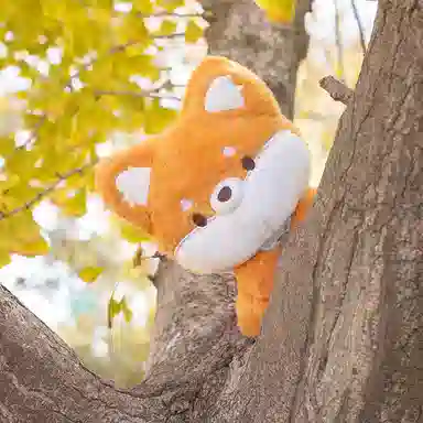 23cm