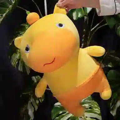 25cm30cm50cm