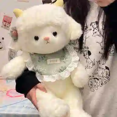 45CM60CM