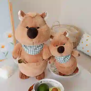 25cm30cm40cm