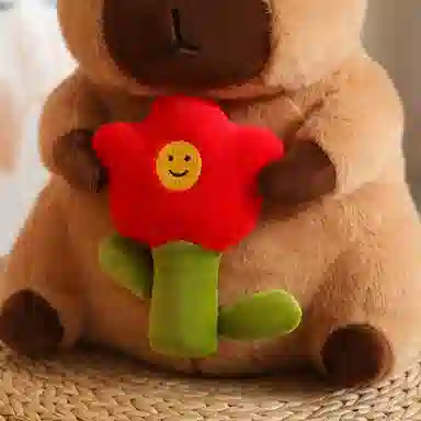 30cm40cm