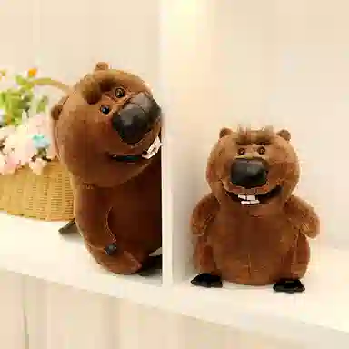 22cm30cm