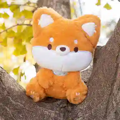 23cm