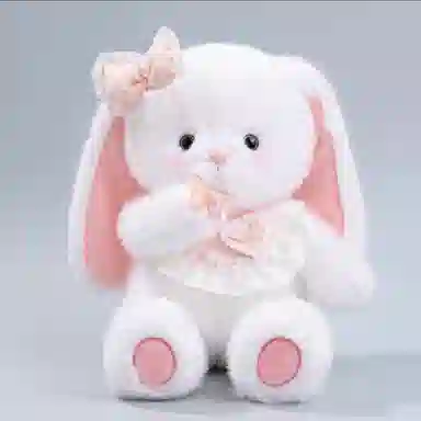 45CM60CM