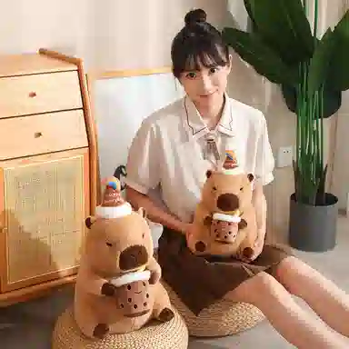 30cm40cm
